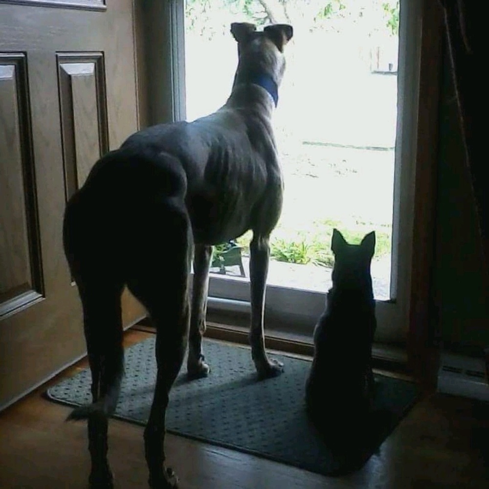 Meet your Posher, Andy